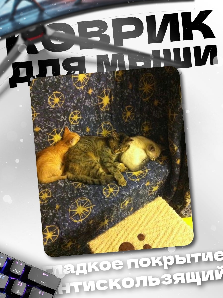 Коврик Два кота спят
