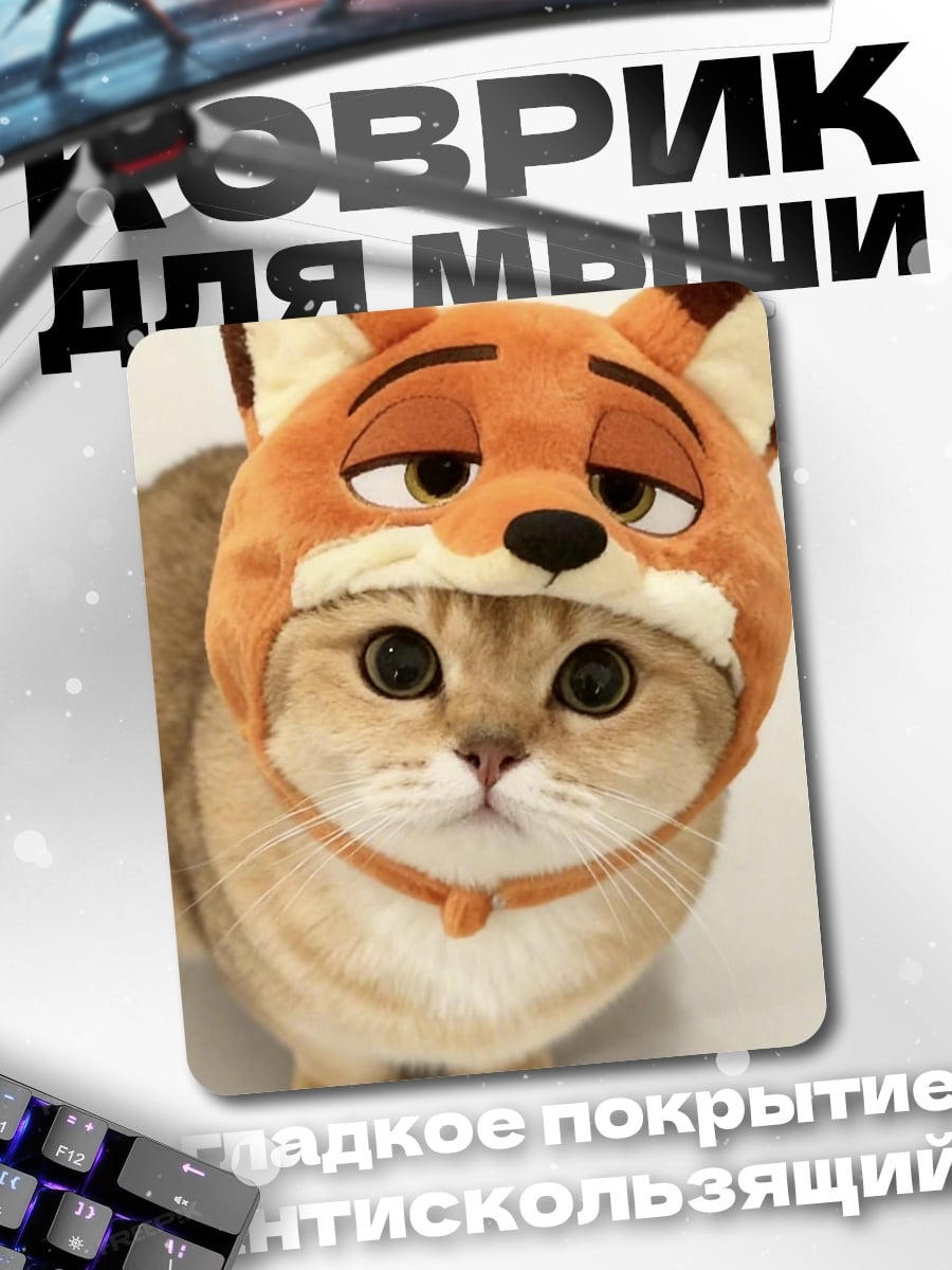 Коврик Кот в шапке лисы