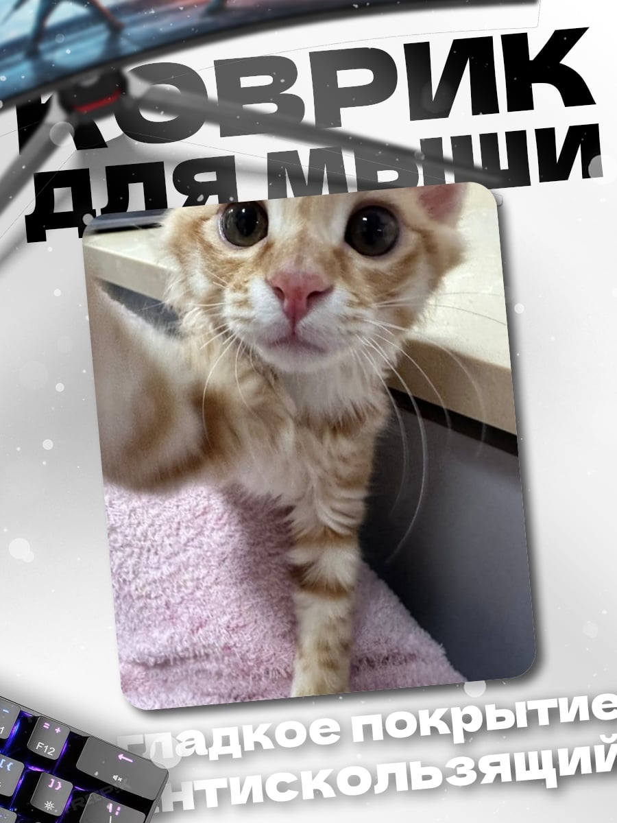Коврик Кот делает селфи