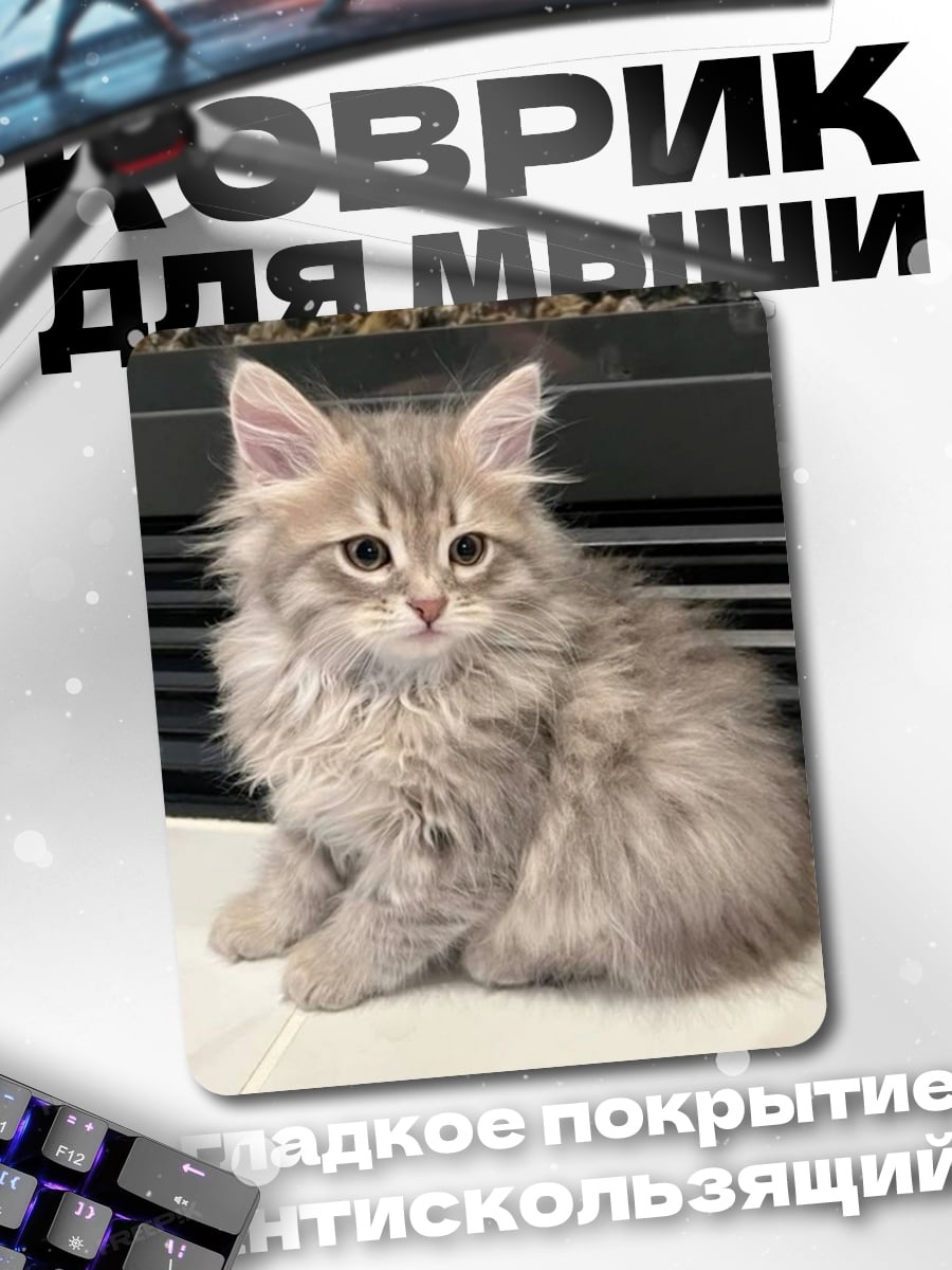 Коврик Пушистый котёнок сидит