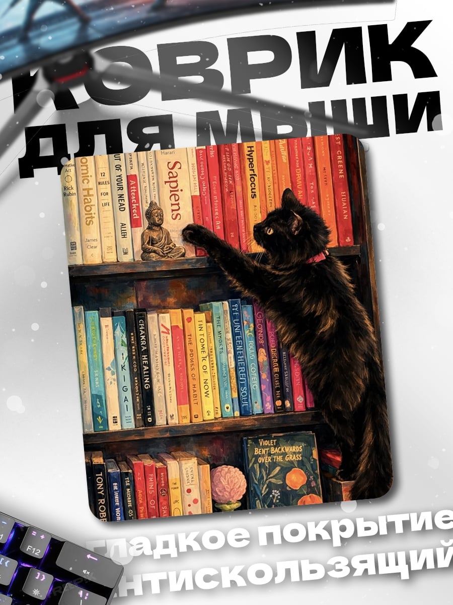 Коврик Черный кот и книги