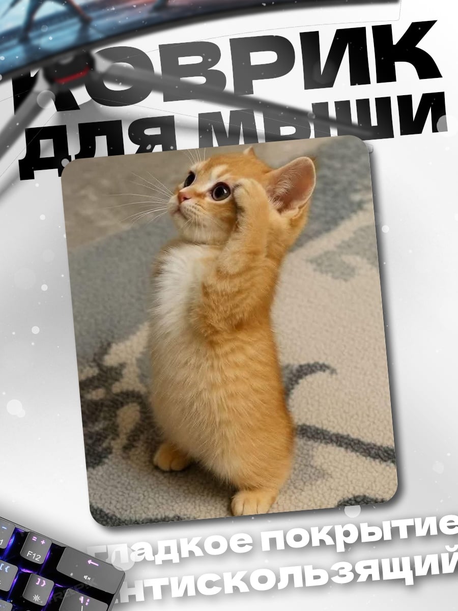 Коврик Рыжий котенок смотрит вверх