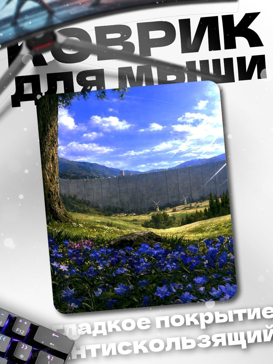 Коврик Стена Эрен