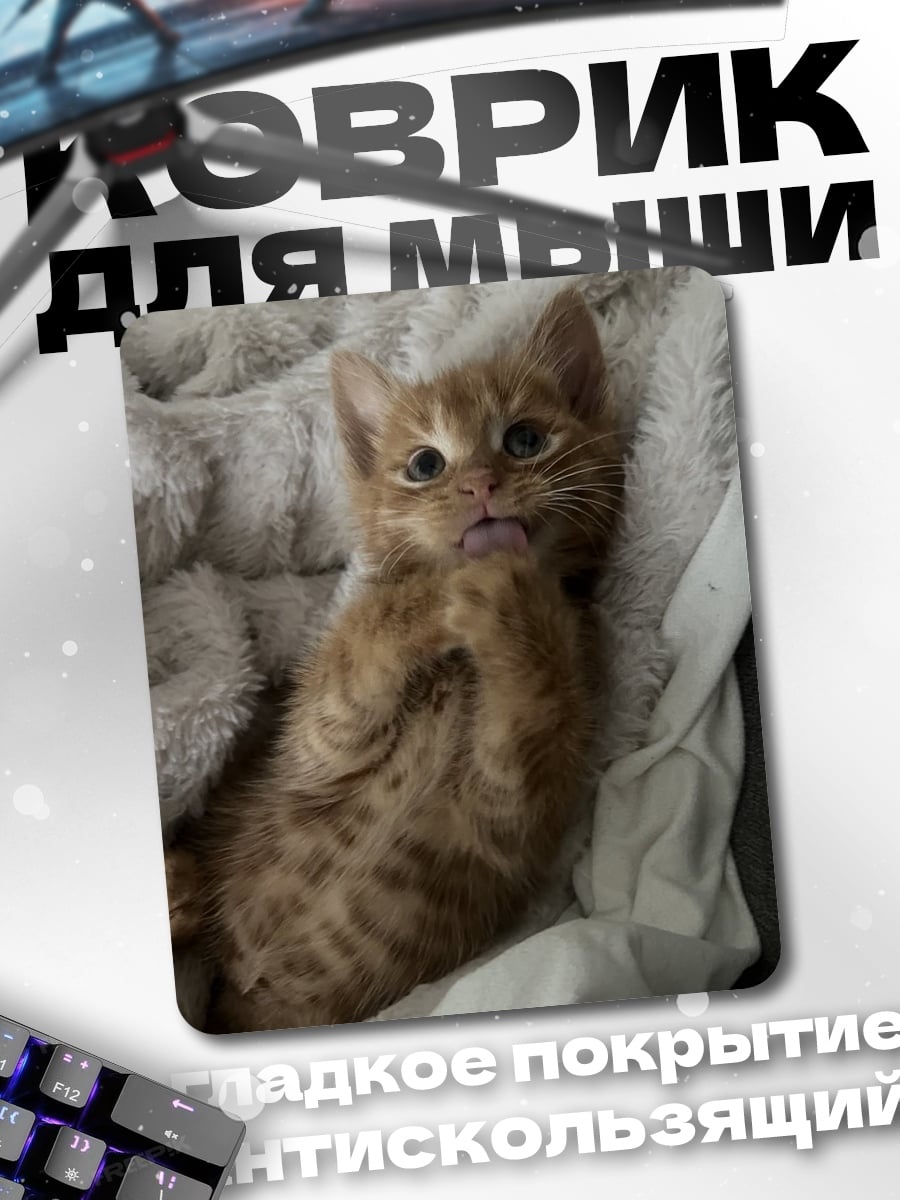 Коврик Рыжий котенок лежит