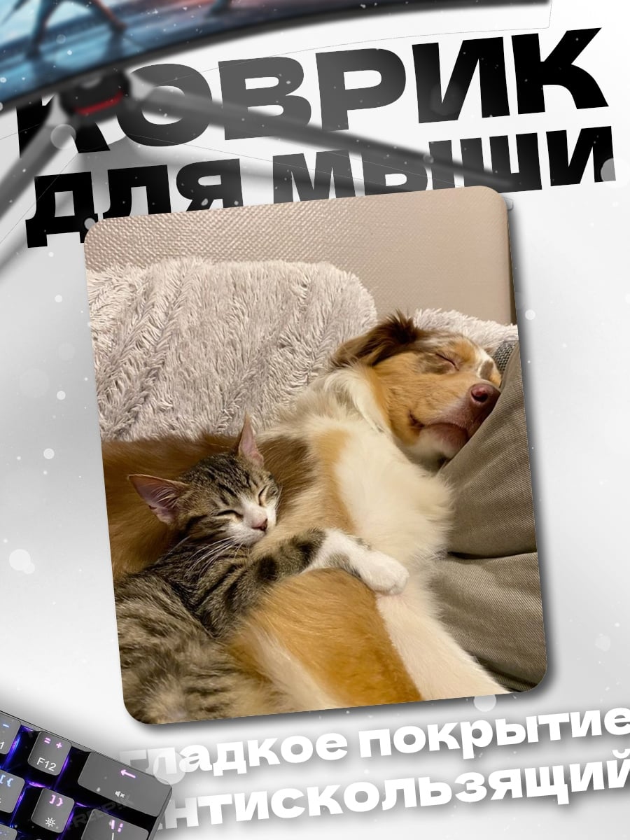 Коврик Кот и собака спят