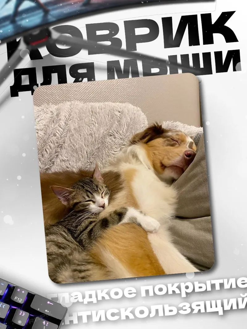Коврик Кот и собака спят