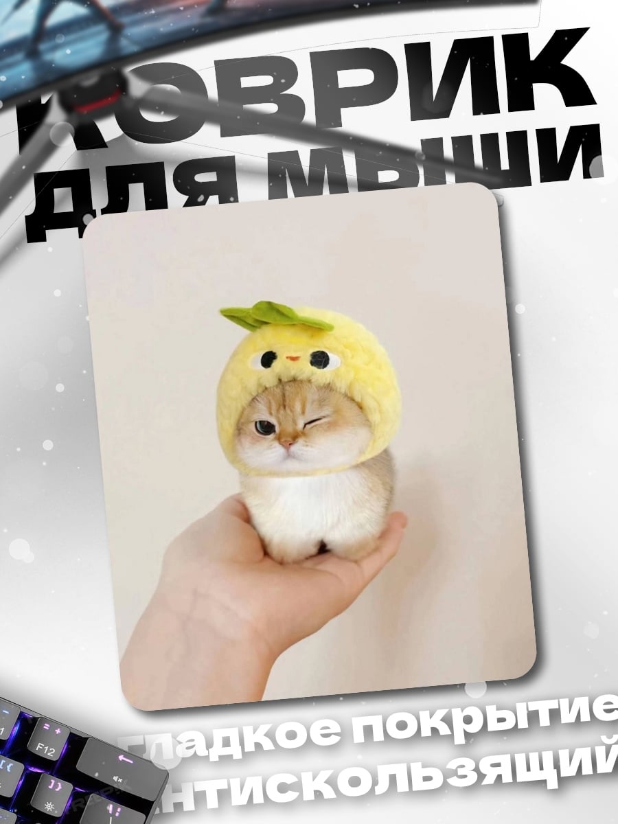 Коврик Кот в шапке