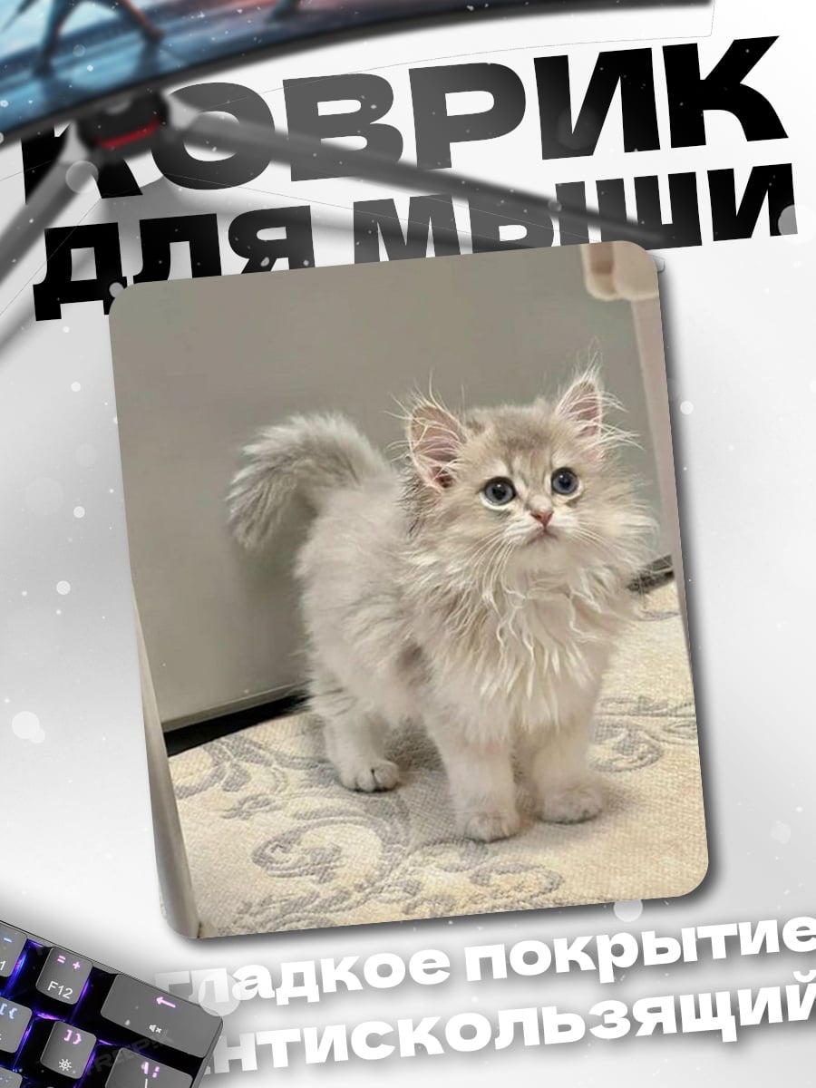Коврик Пушистый котенок стоит