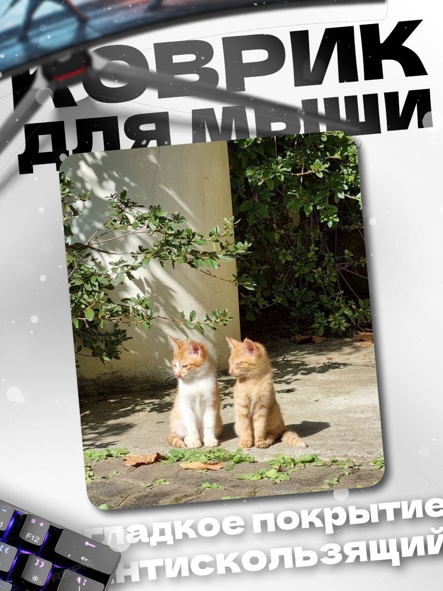 Коврик Два котенка на солнце