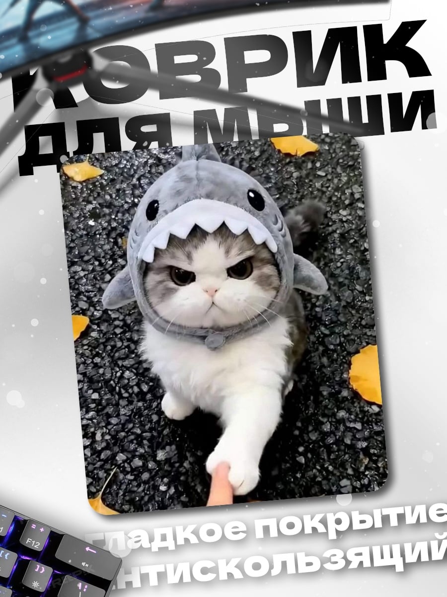 Коврик Кот в костюме акулы
