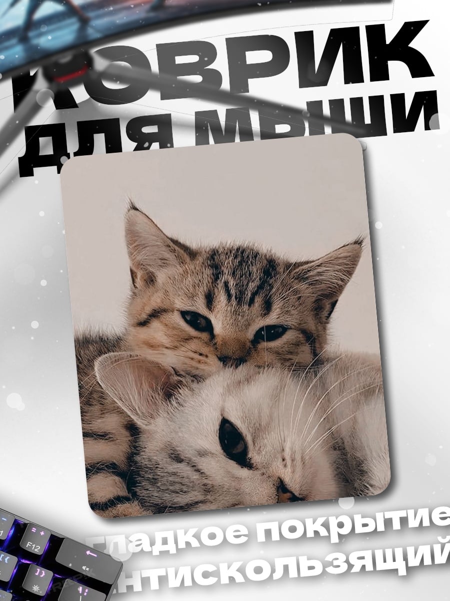 Коврик Два спящих котенка
