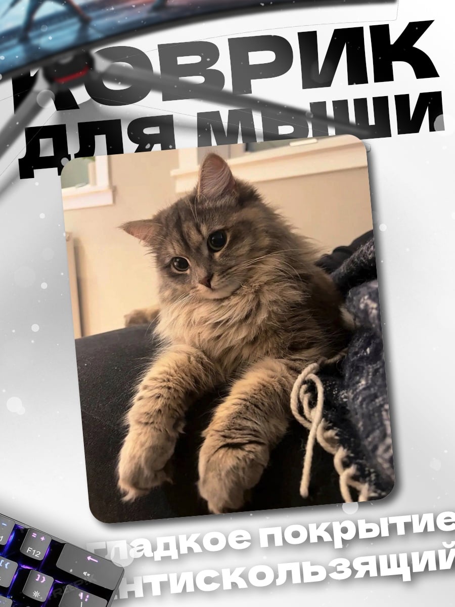 Коврик Пушистый кот отдыхает