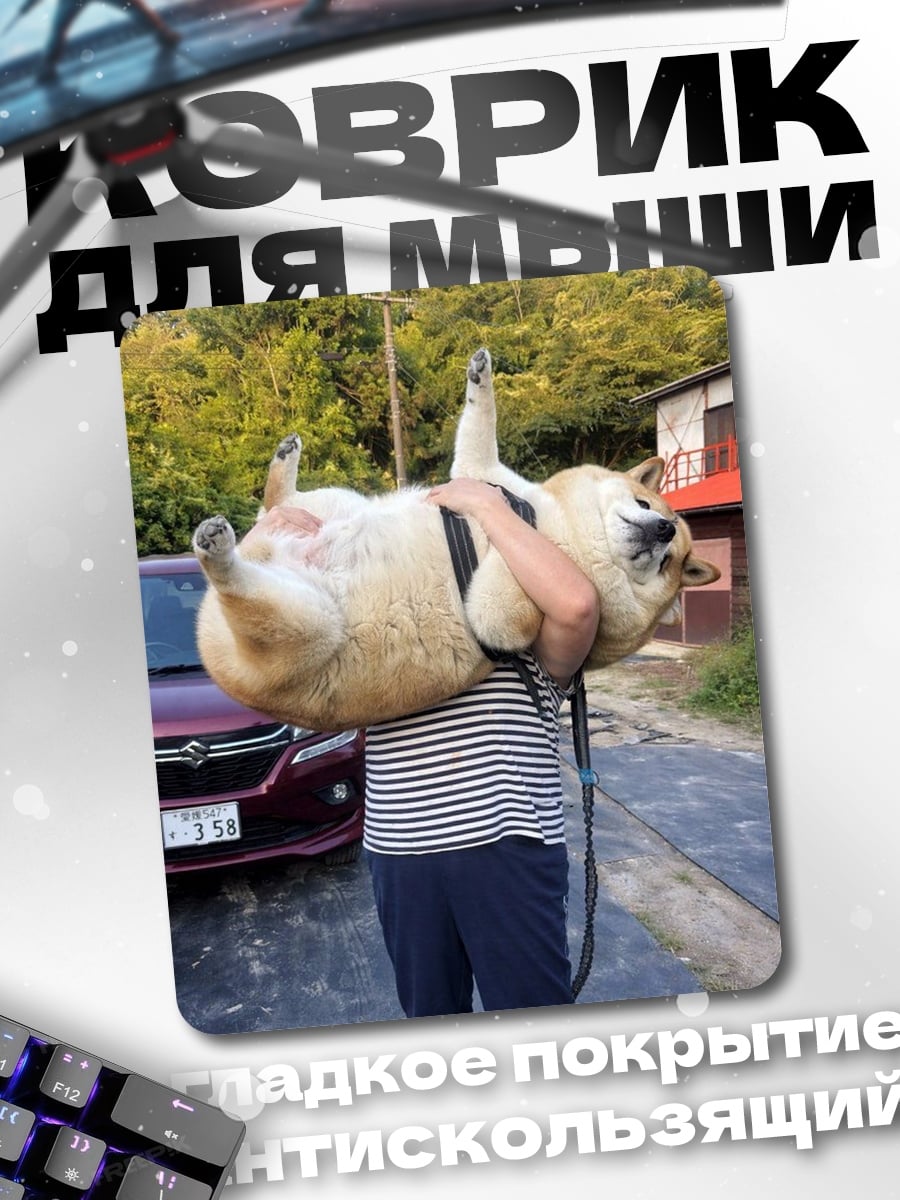 Коврик человек держит собаку