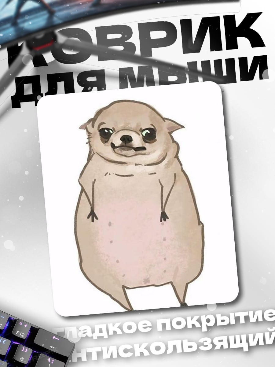 Коврик Толстый чихуахуа