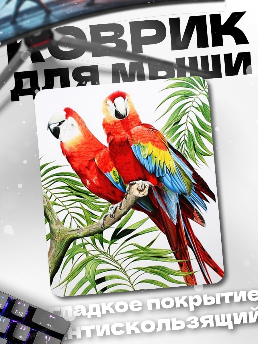 Коврик Два попугая