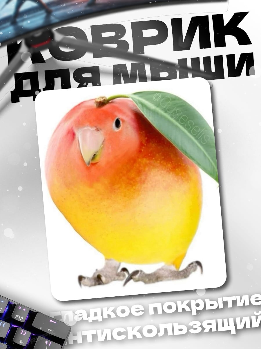 Коврик Манго птица