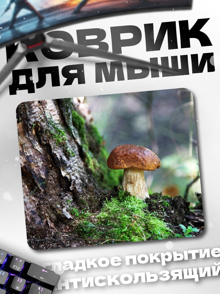 Коврик Белый гриб в лесу