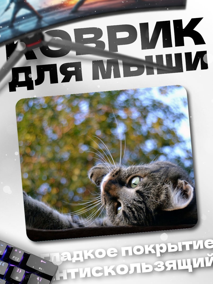 Коврик Кот смотрит вверх