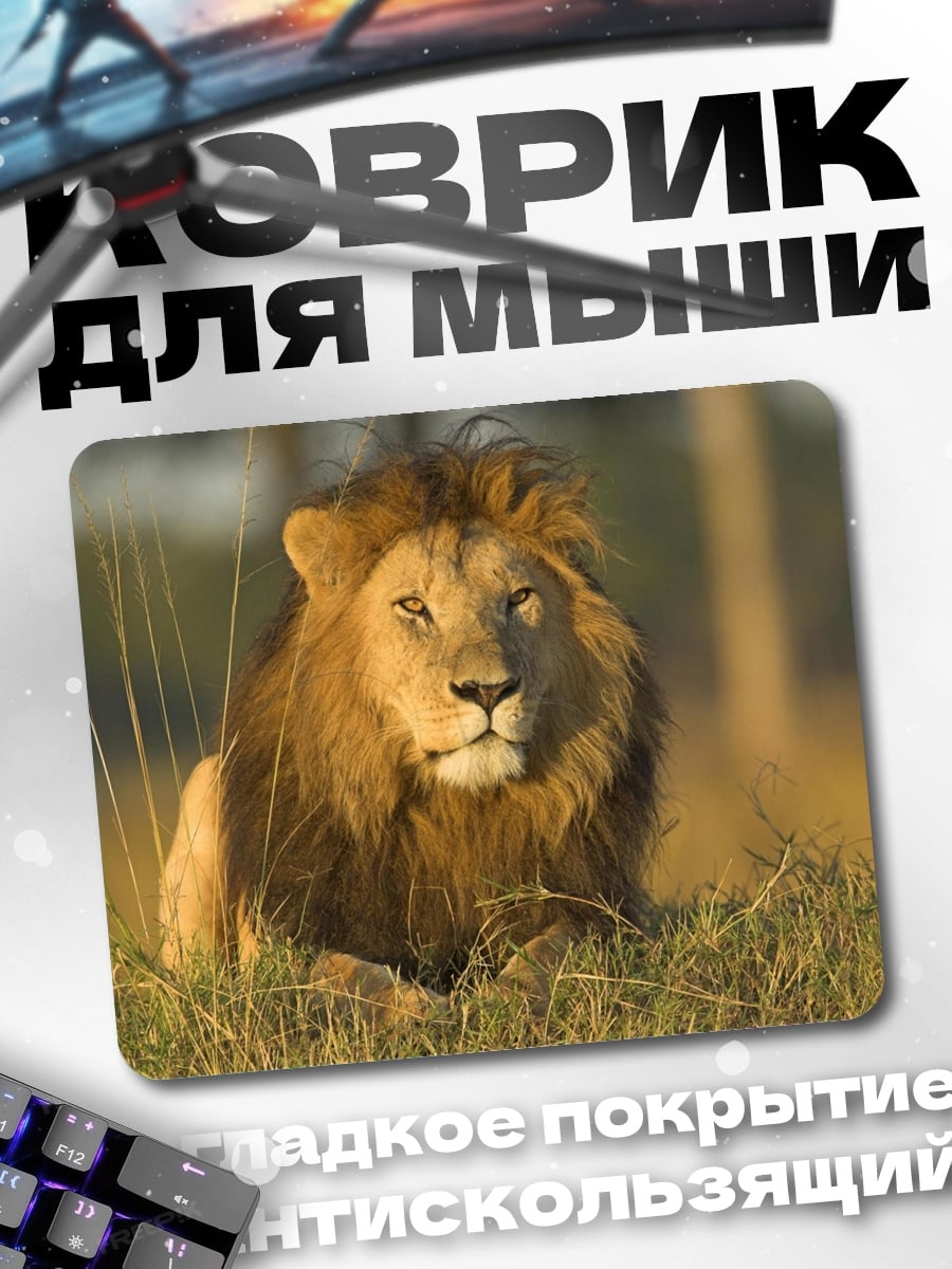 Коврик Лев в траве