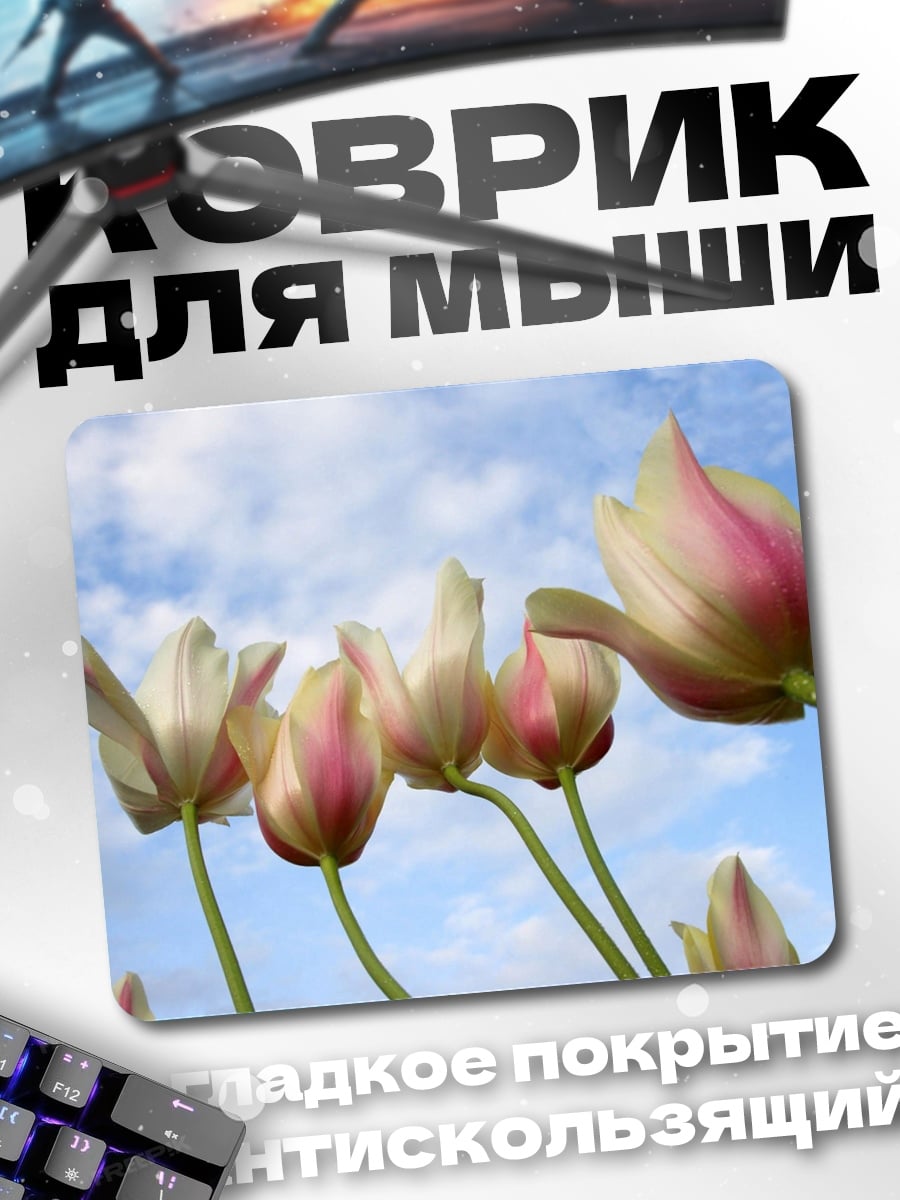 Коврик Розовые тюльпаны