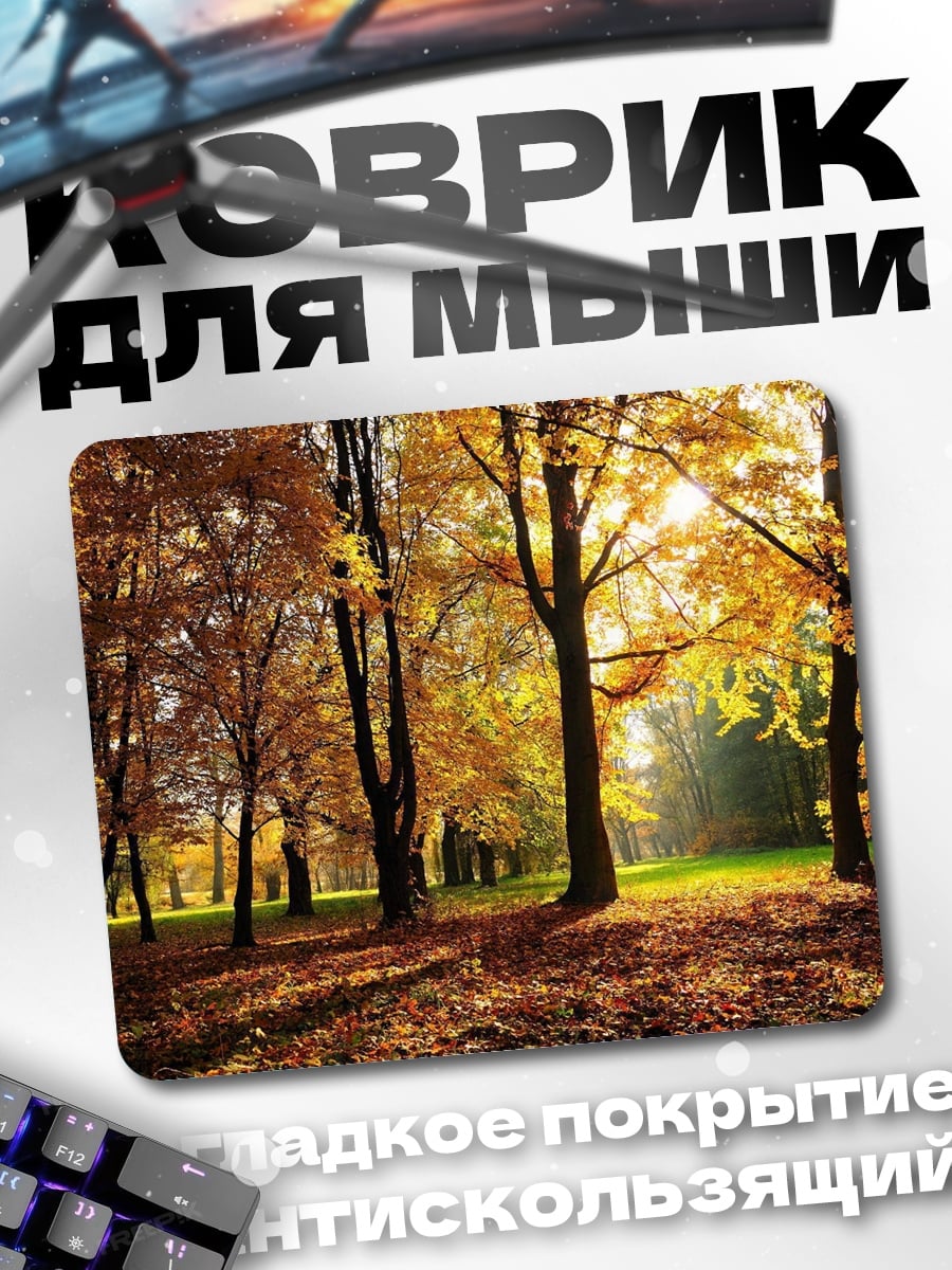 Коврик Осенний лес солнечный день