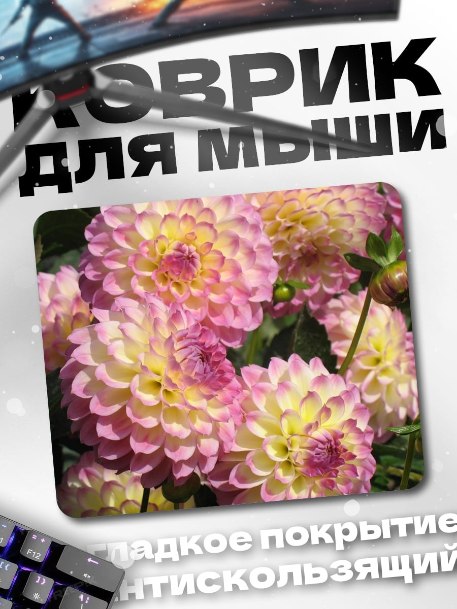 Коврик Розовые георгины