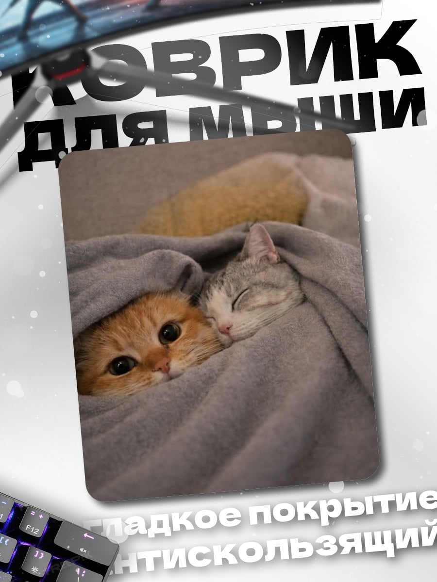 Коврик Два котенка в пледе
