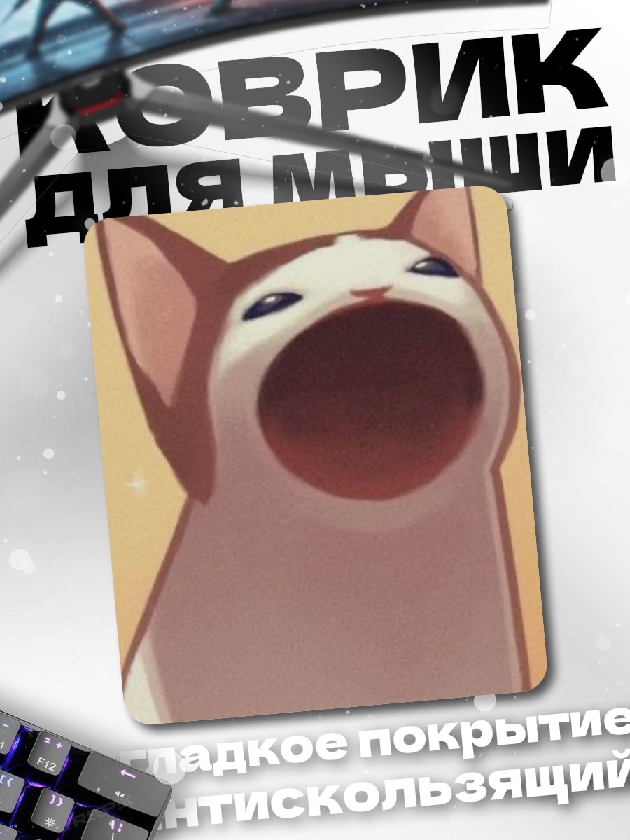 Коврик Поющий кот