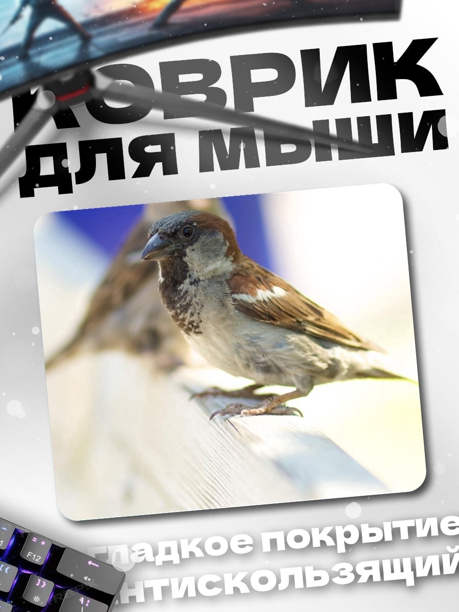 Коврик Воробьи на ветке