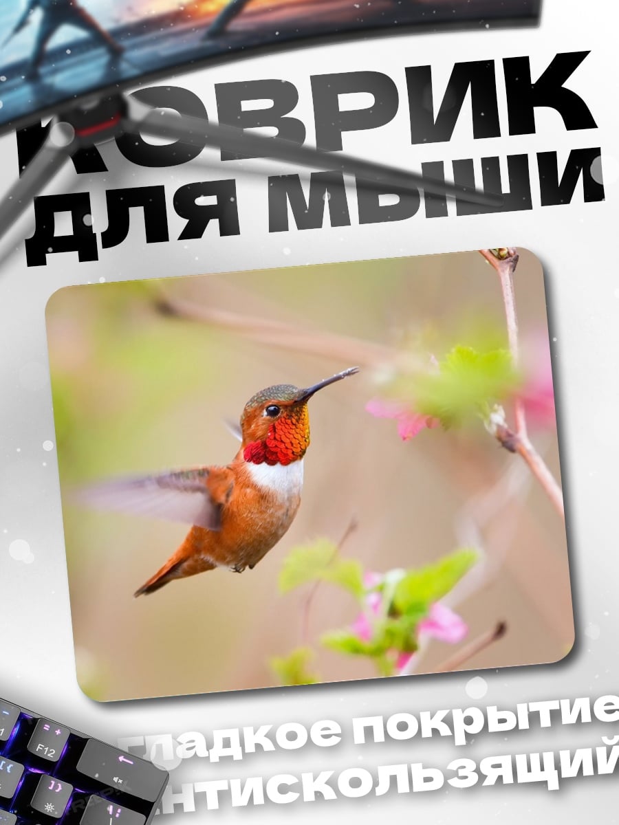 Коврик Колибри в полете