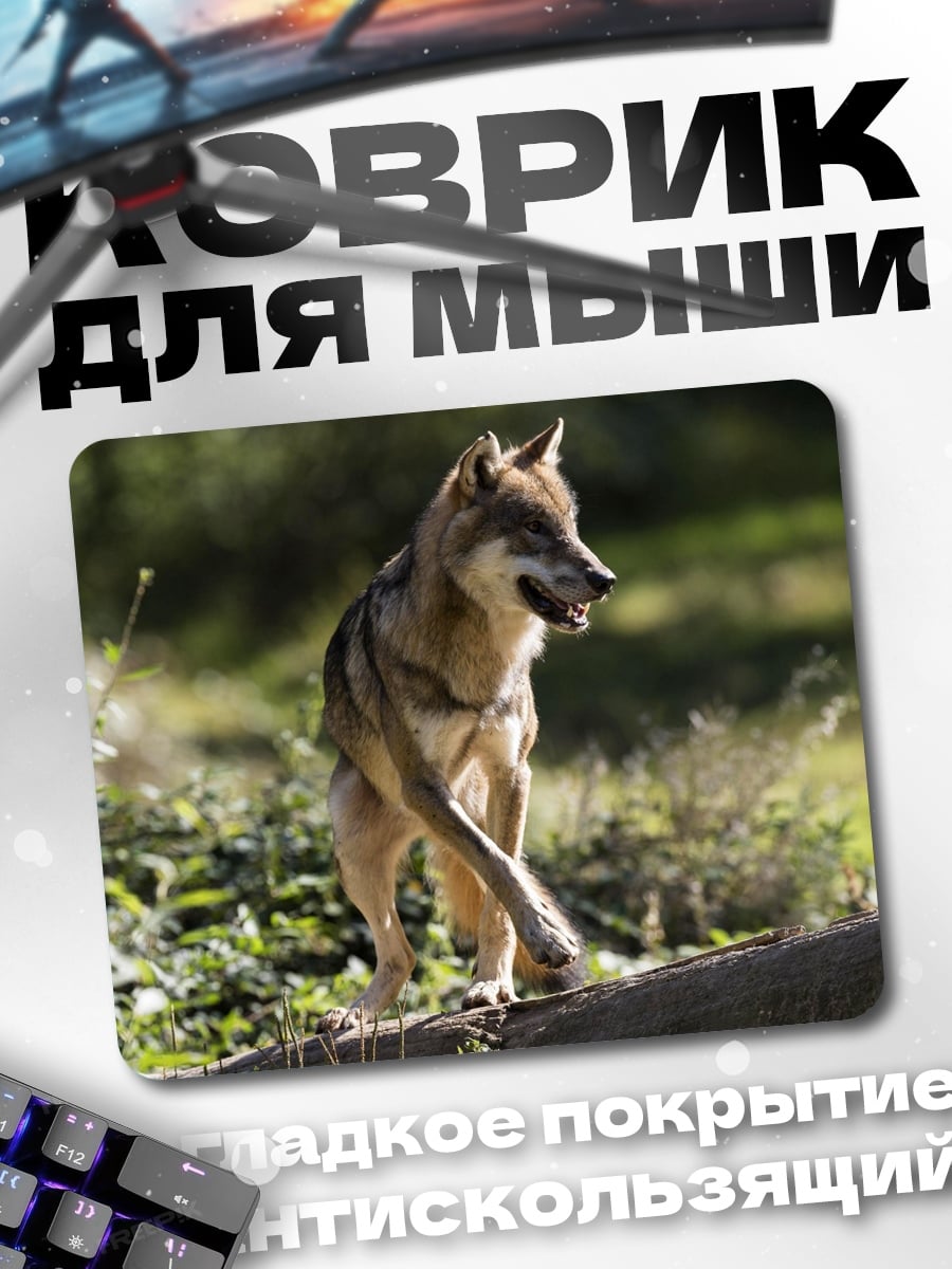Коврик Дикий волк