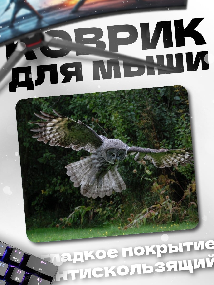 Коврик Летающая сова