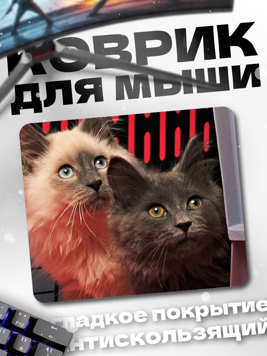 Коврик Два котенка