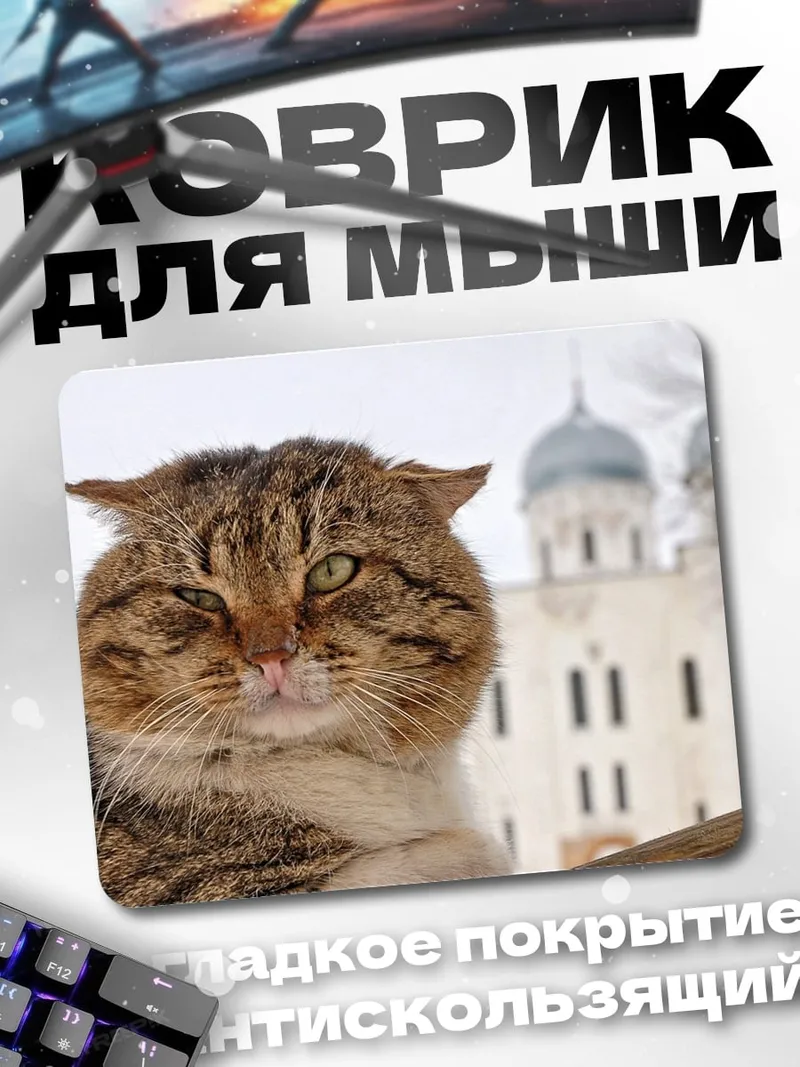 Коврик Кот у собора