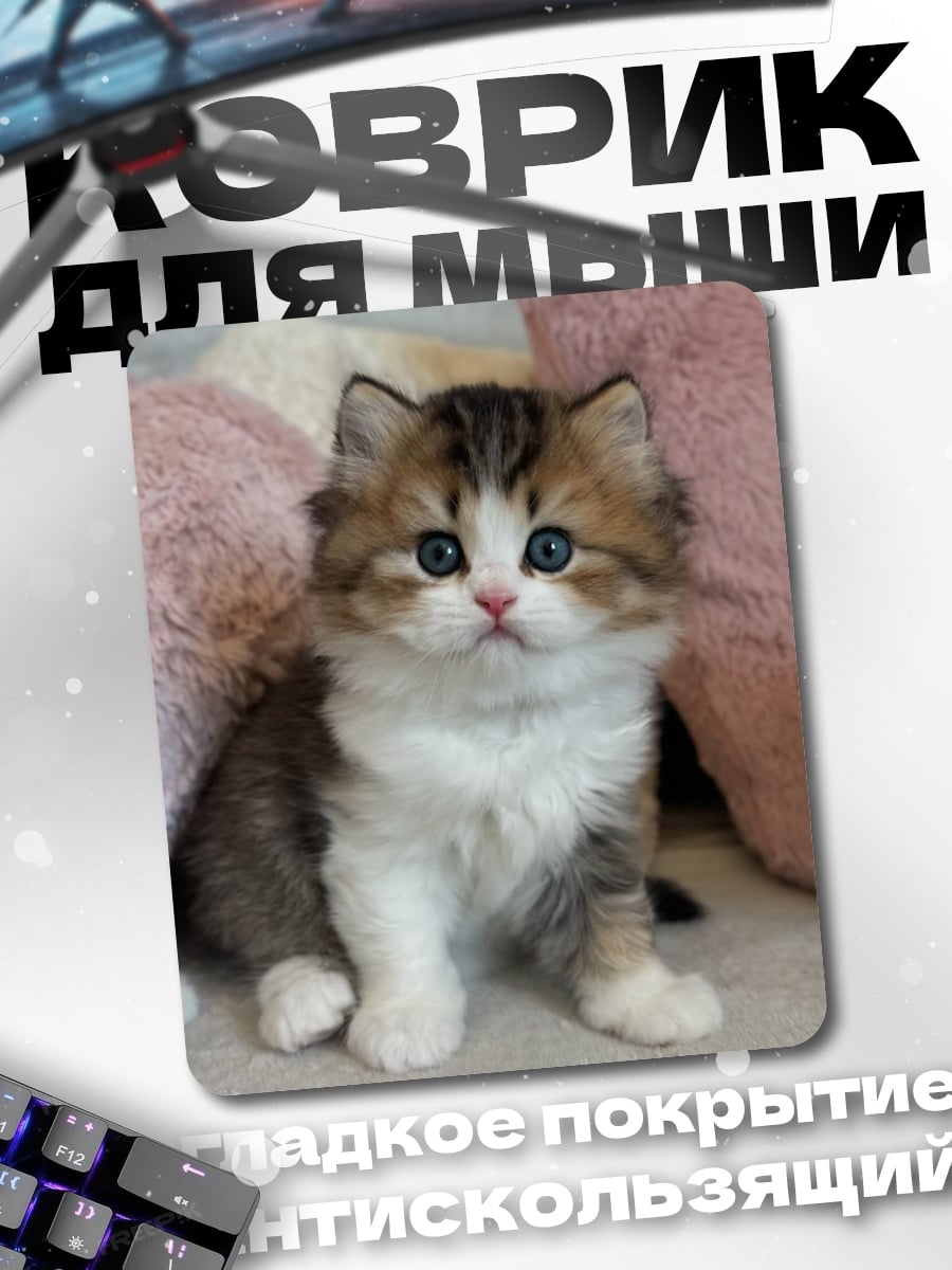 Коврик Пушистый котёнок сидит