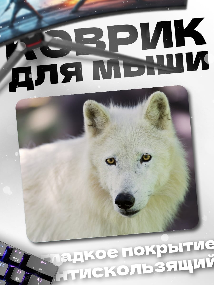 Коврик Белый волк смотрит