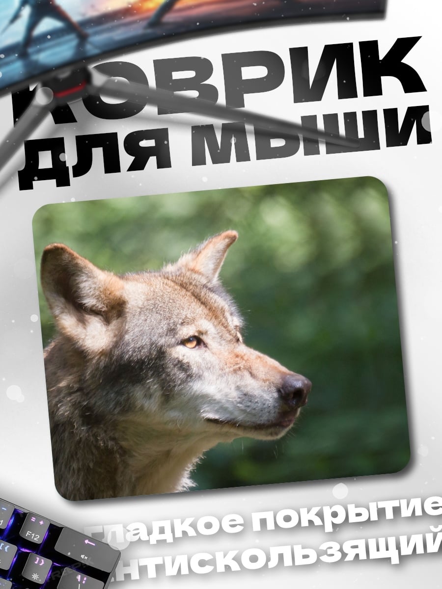 Коврик волк в лесу