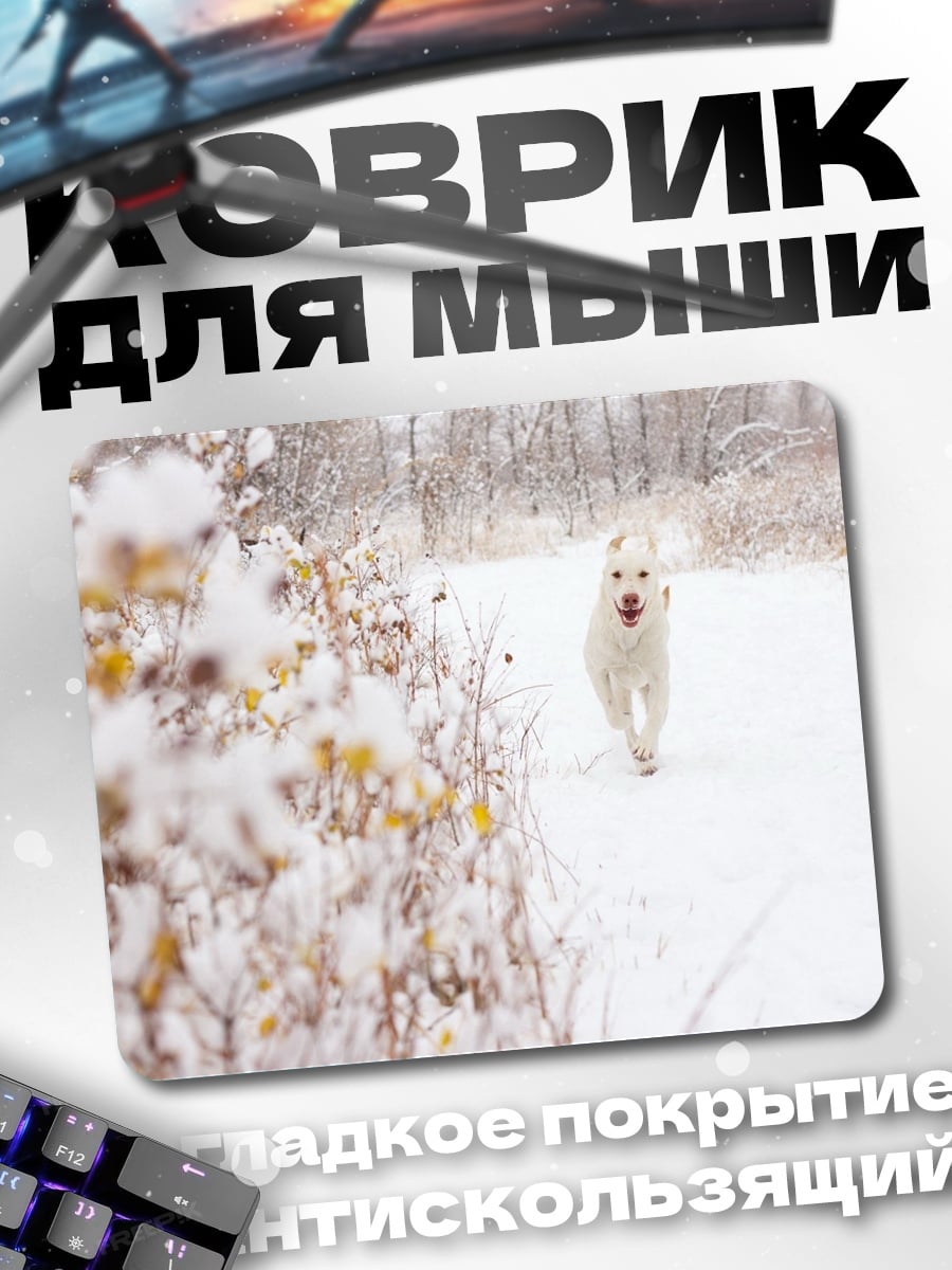 Коврик Белая собака снег