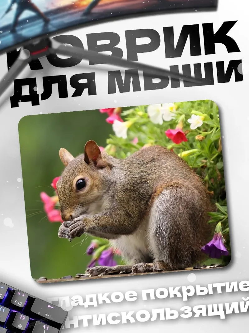 Коврик Белка