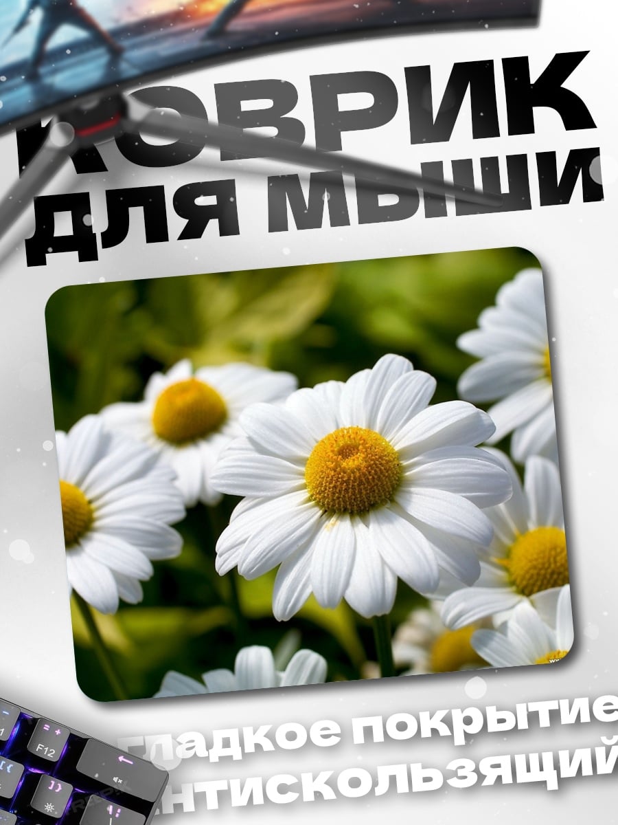 Коврик Белые ромашки
