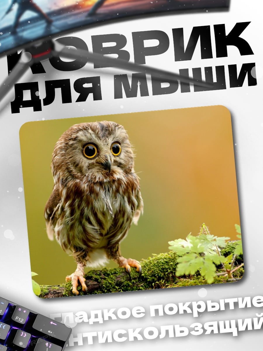 Коврик Маленькая сова