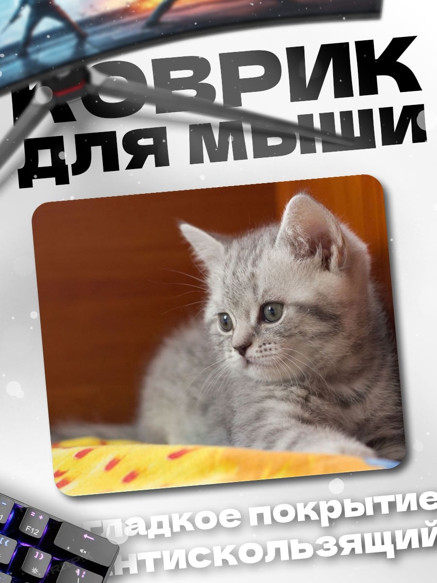 Коврик Милый котенок