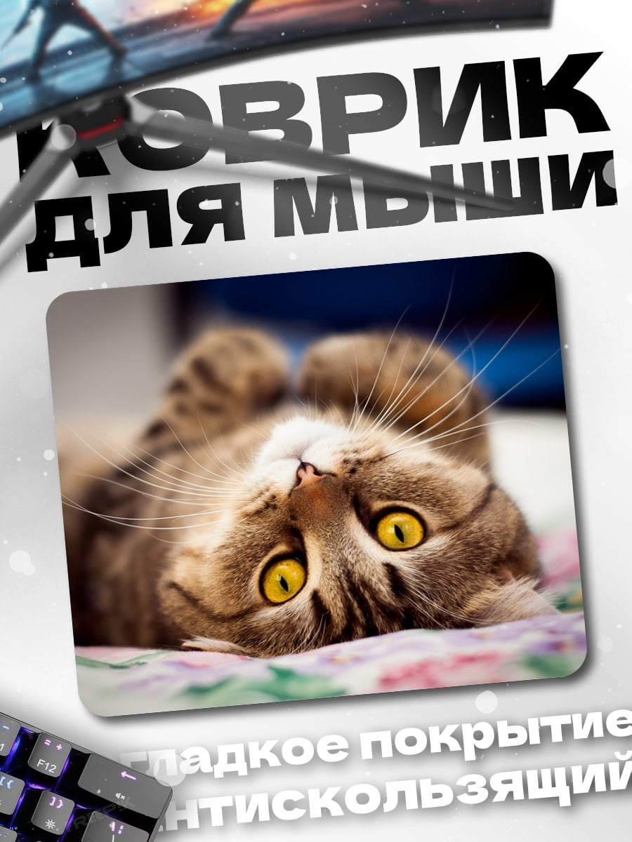 Коврик Ленивый кот