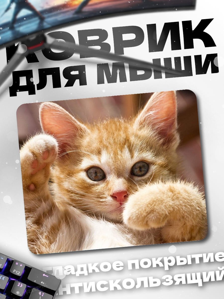 Коврик Рыжий котенок играет