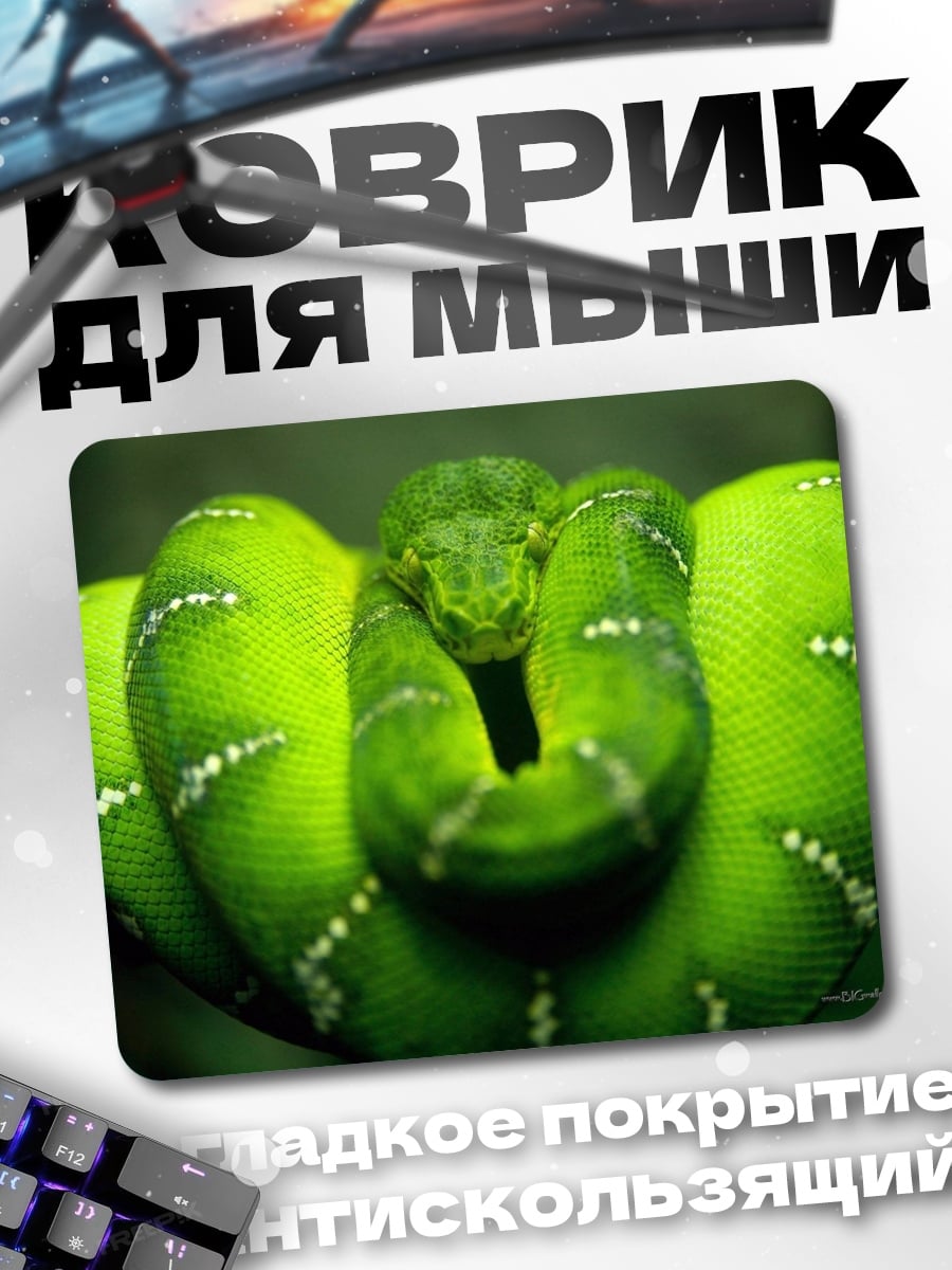 Коврик Зеленая змея