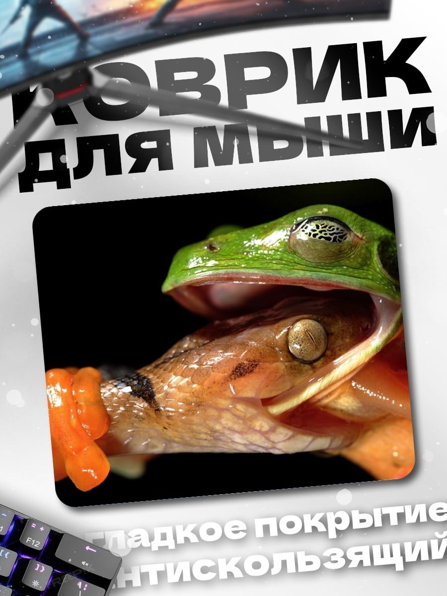Коврик Лягушка ест ящерицу