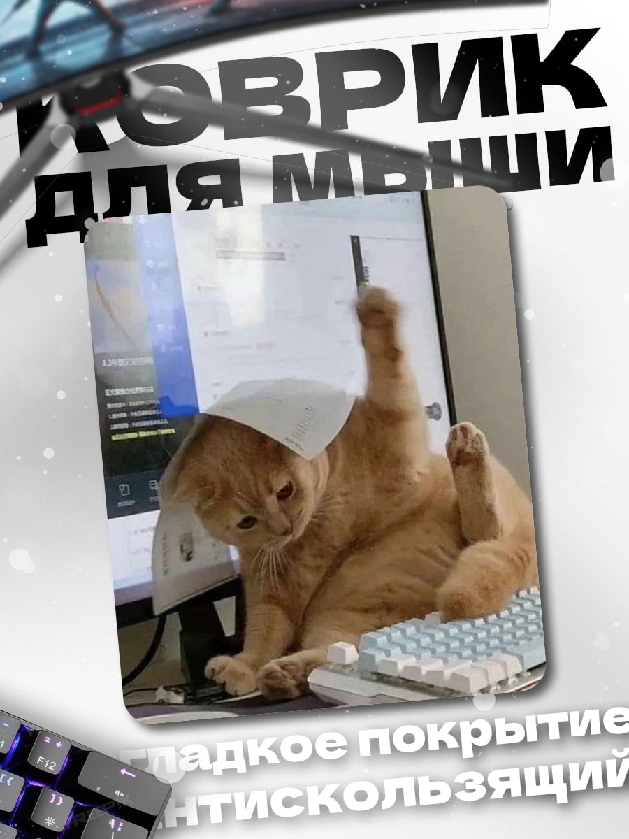 Коврик Кот за компьютером