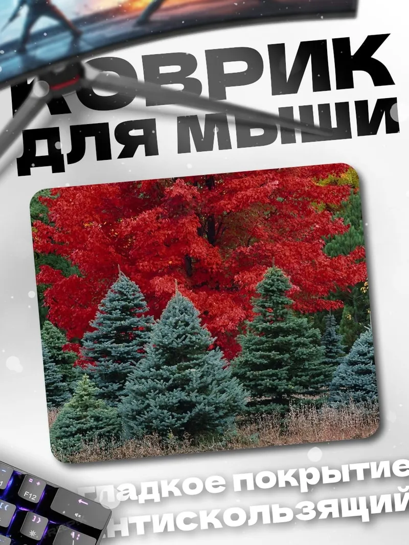 Коврик осенние ели красные