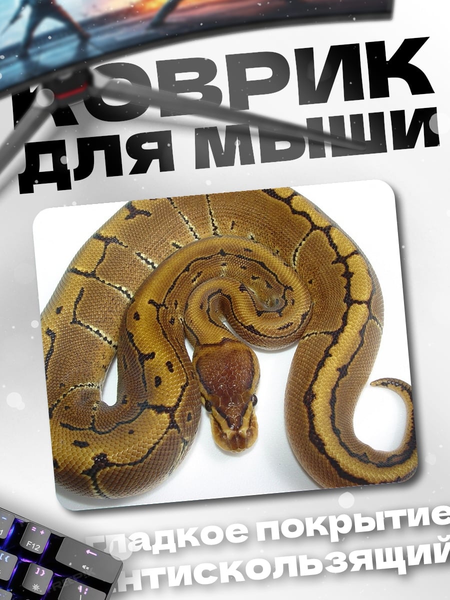 Коврик змея полосатая