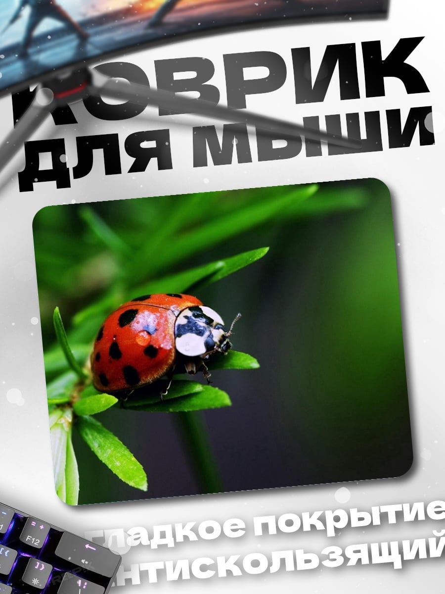 Коврик Божья коровка на ветке
